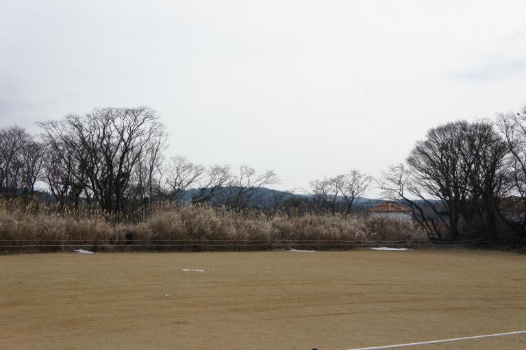DSC01419.JPG
