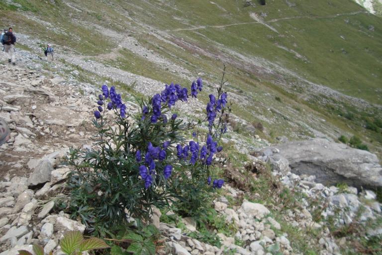 15.sept.2012 048.JPG
