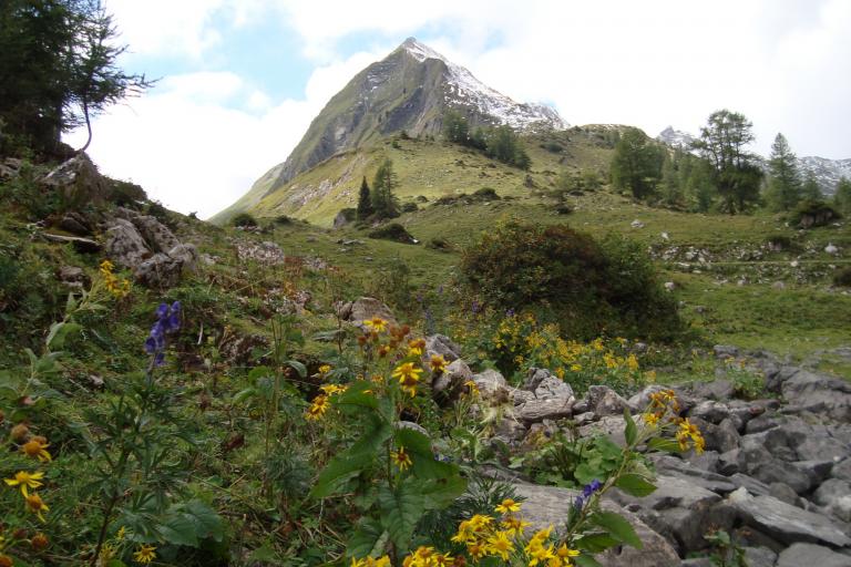 15.sept.2012 065.JPG