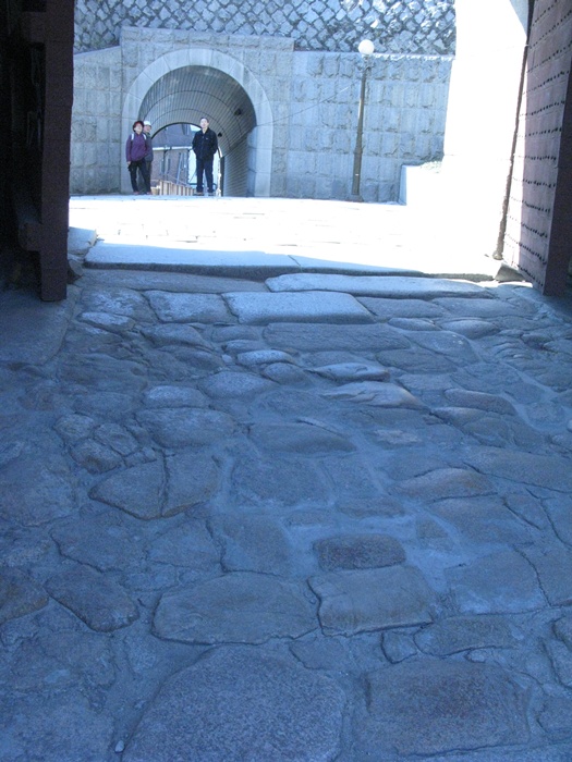 IMG_7076.JPG