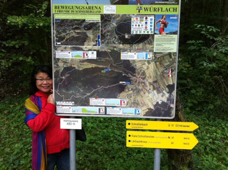 Alpenweg1.JPG