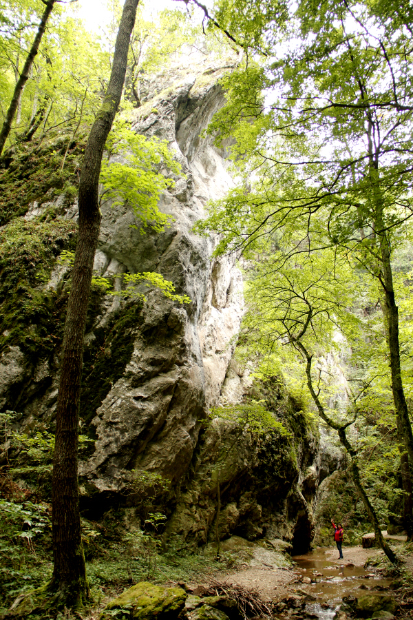 Johannesbachklamm 1.JPG