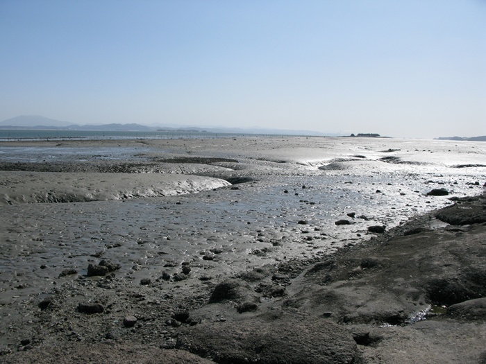 IMG_6305.JPG