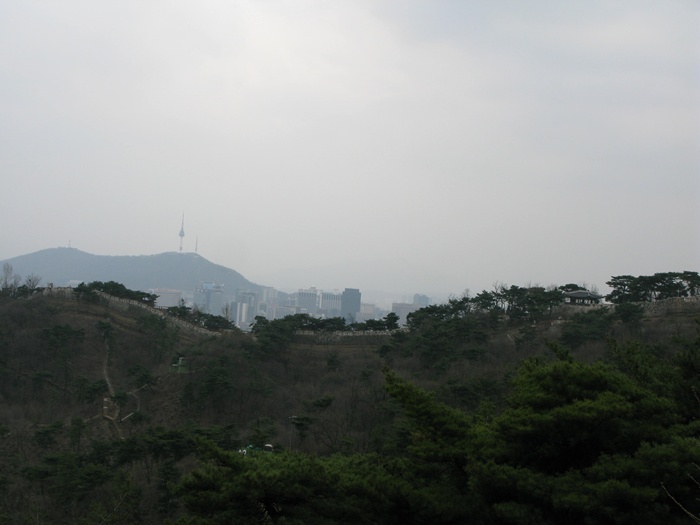 IMG_7229.JPG