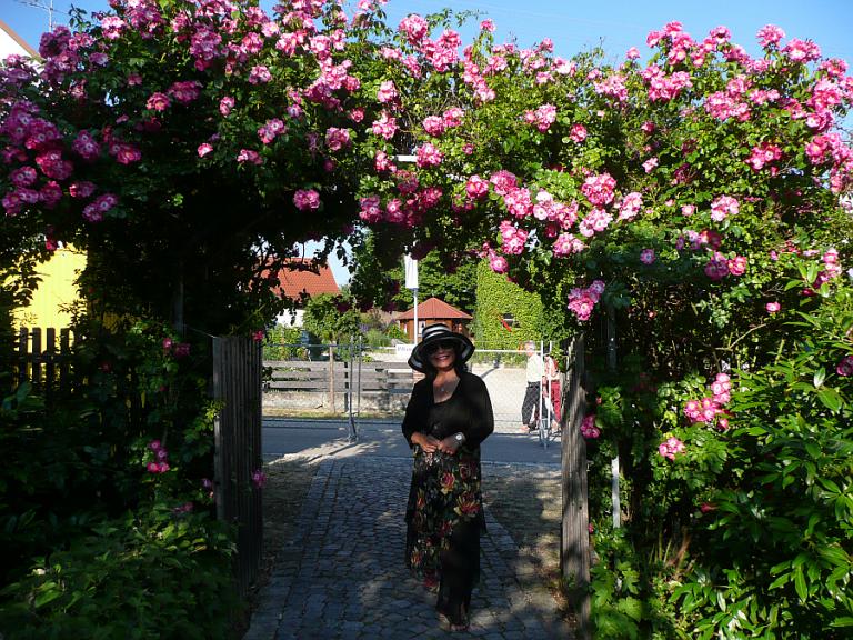 Rosenschau 1.JPG