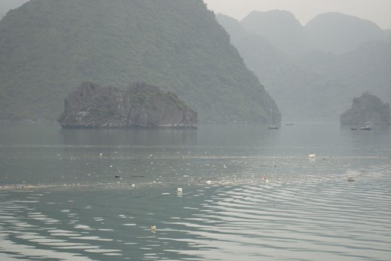 DSC02595_copy.jpg