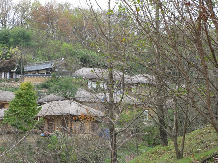 IMG_4207.JPG