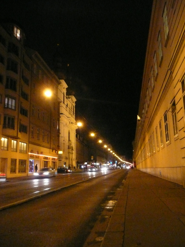alser strasse.JPG