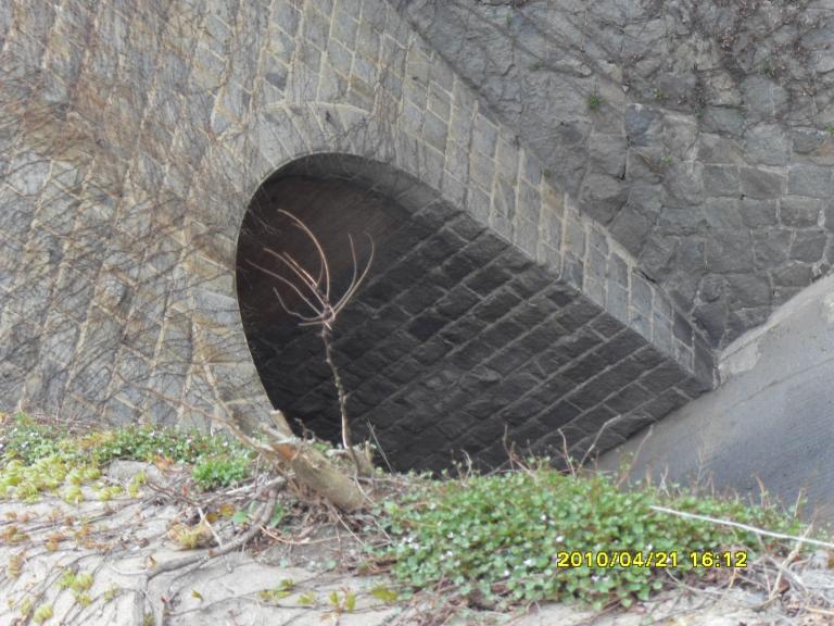 SDC11594.JPG