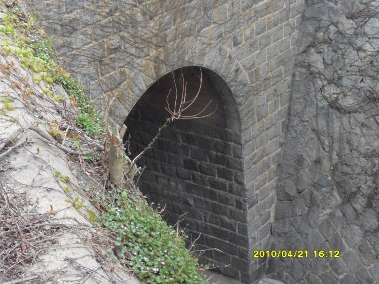 SDC11595.JPG