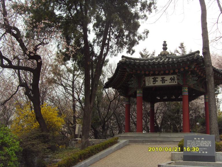 SDC11616.JPG