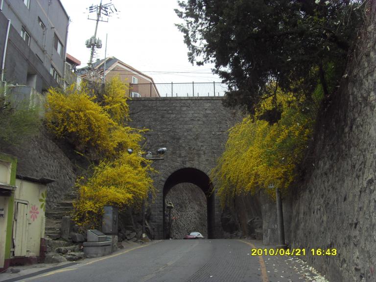 SDC11629.JPG