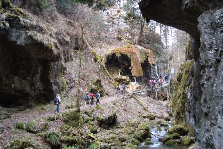 2010 065 (15)_copy.jpg