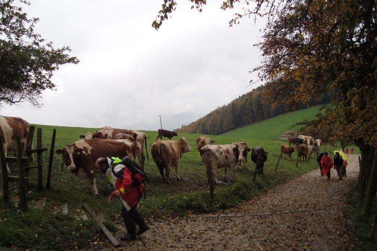 wanderrung 020_copy.jpg