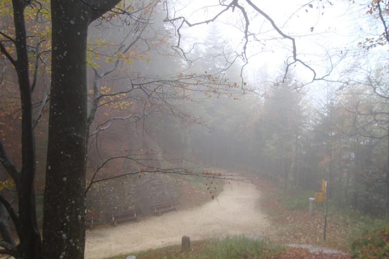 wanderrung 028_copy.jpg