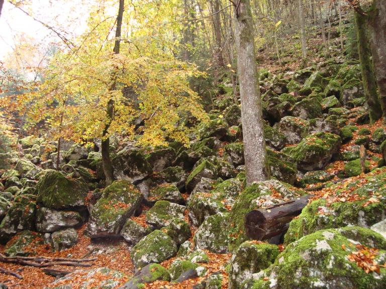 wanderrung 060_copy.jpg