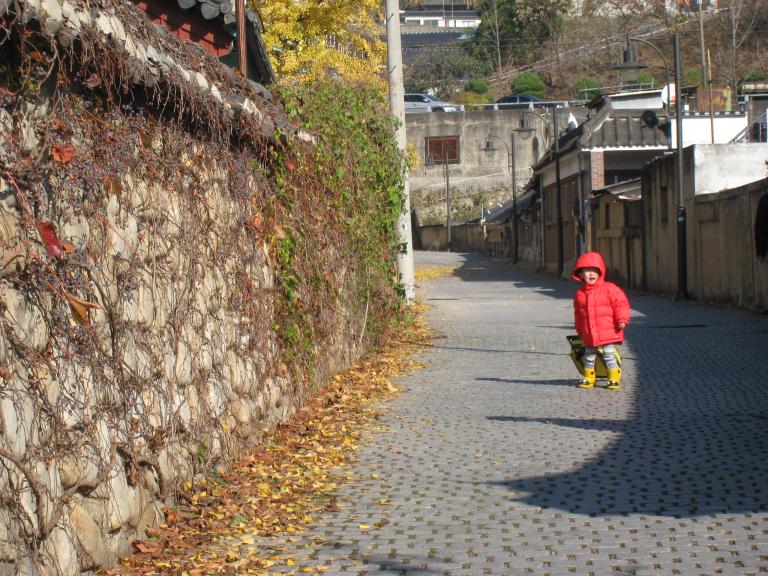 IMG_1733.JPG