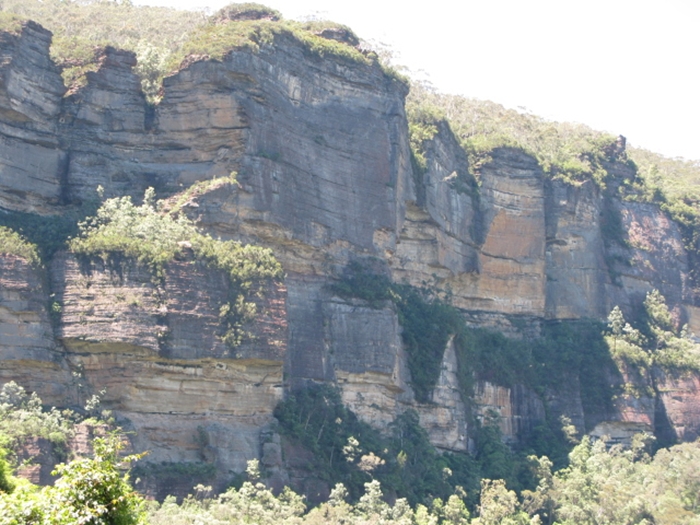 호주2009IMG_3524.JPG