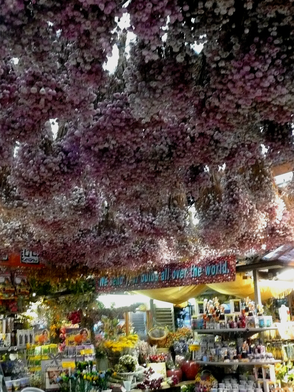 Blumenmarkt 1.JPG