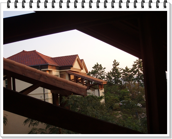 P1010027.JPG