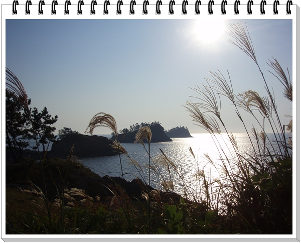 P1010049.JPG