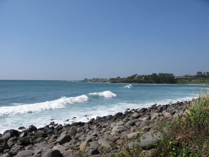 2009벌초IMG_2325.JPG