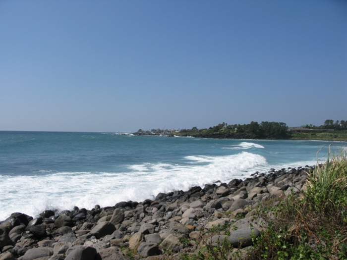 2009벌초IMG_2326.JPG