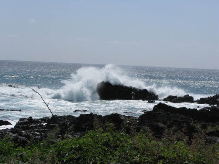 2009벌초IMG_2328.JPG