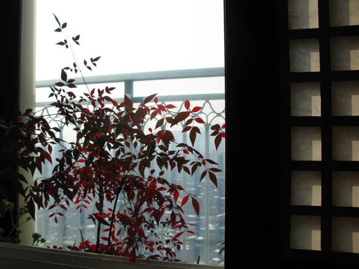 IMG_4783.JPG