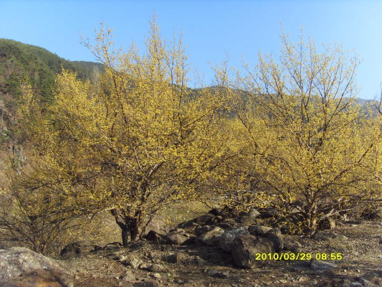SDC10658.JPG