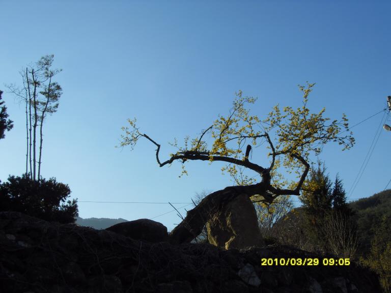 SDC10659.JPG