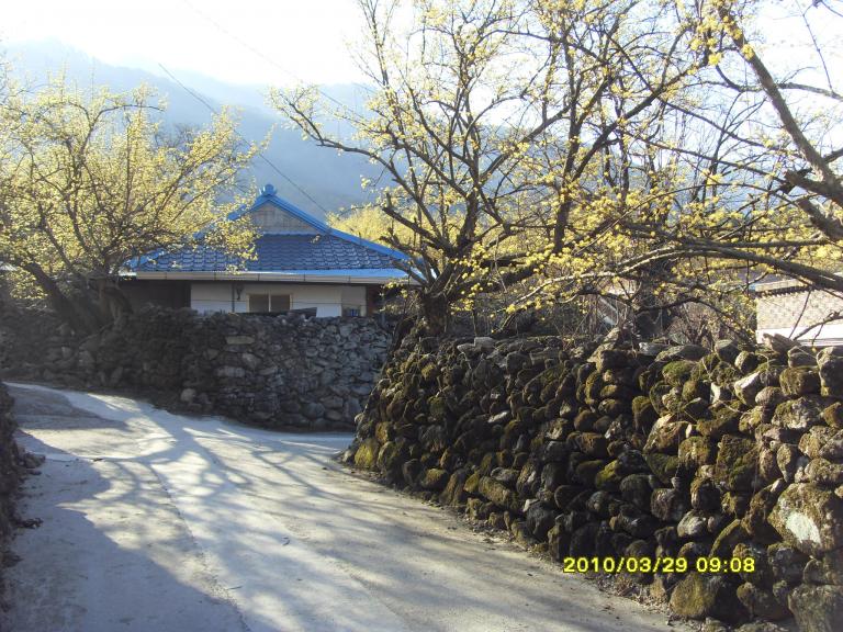 SDC10668.JPG