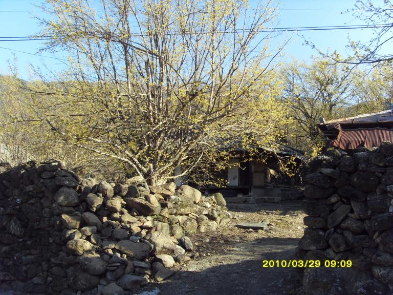 SDC10670.JPG