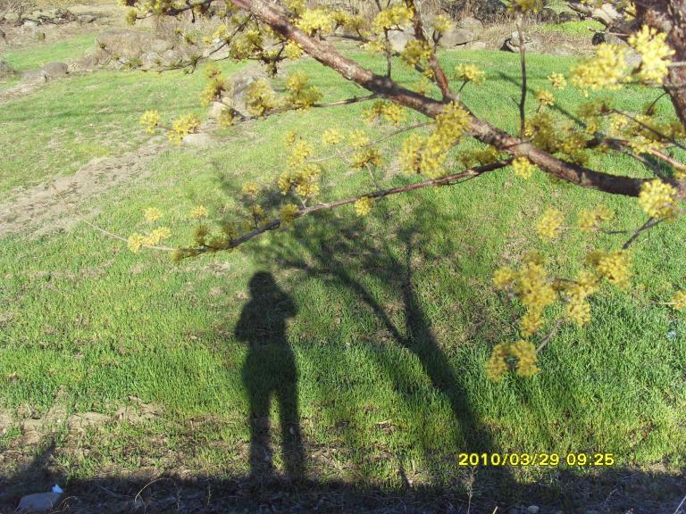 SDC10693.JPG