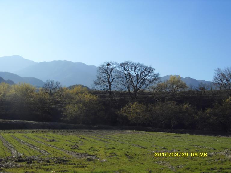 SDC10700.JPG