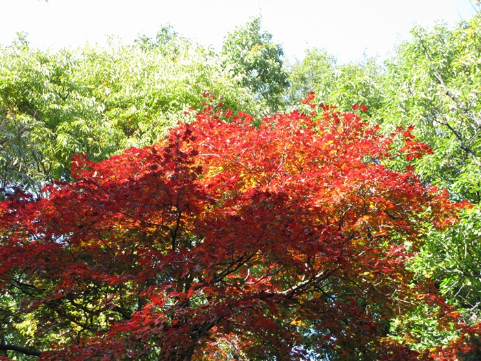 IMG_3830.JPG