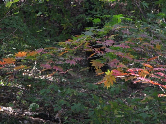 IMG_3831.JPG