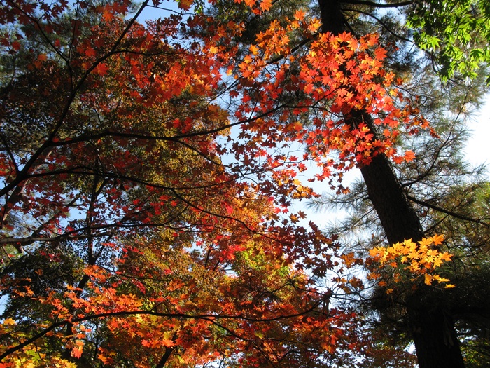 IMG_3835.JPG