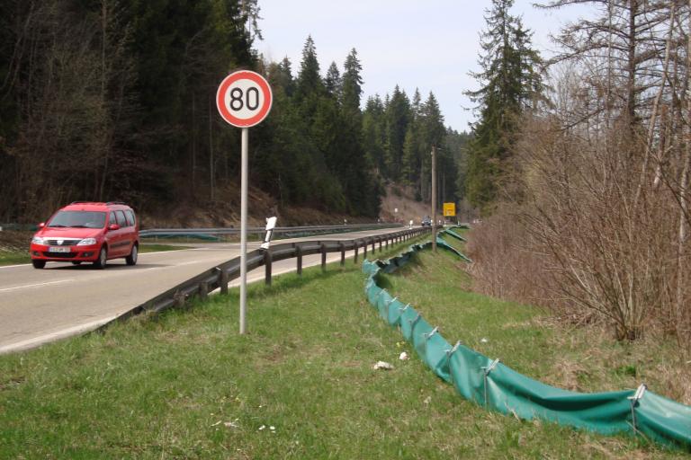 villingen 025_copy.jpg