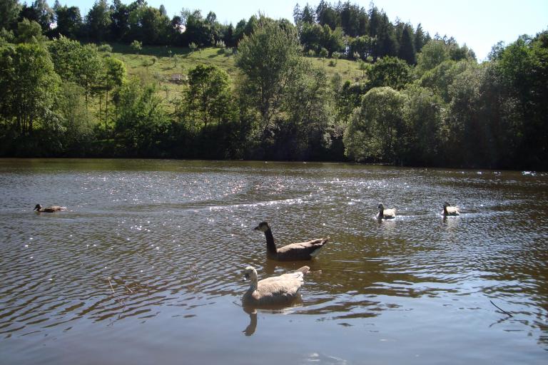 DSC07063.JPG