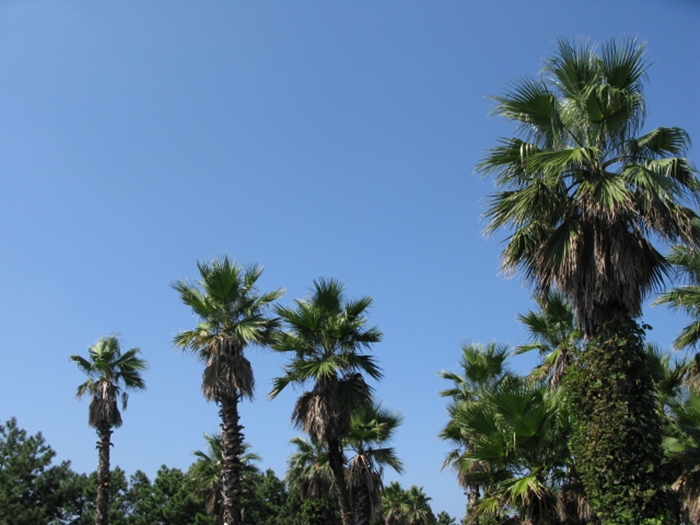 2009벌초IMG_2315.JPG