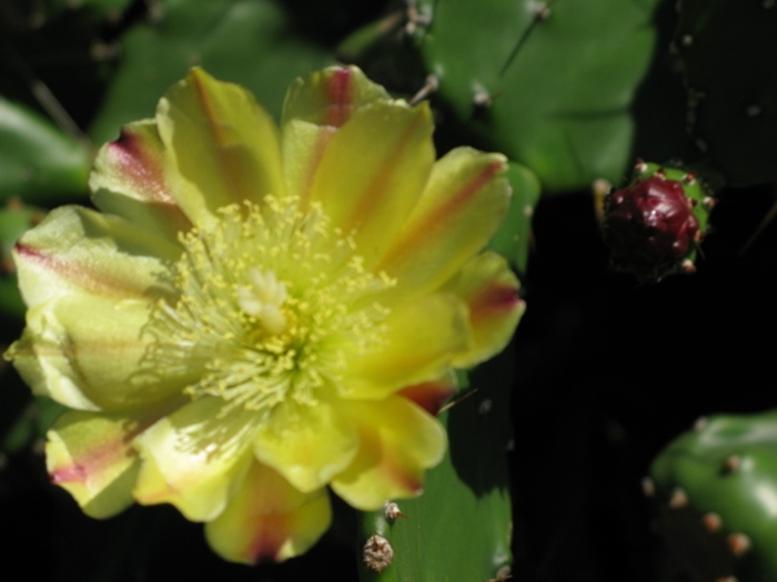 2009벌초IMG_2323.JPG