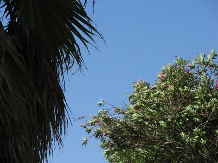 2009벌초IMG_2324.JPG