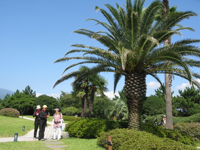 2009벌초IMG_2362.JPG