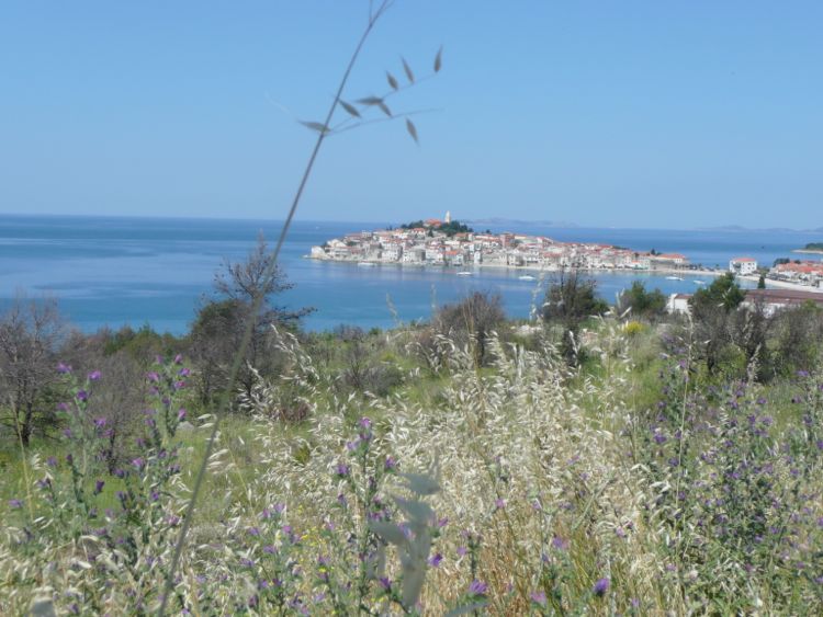 Sibenik P1300718.jpg