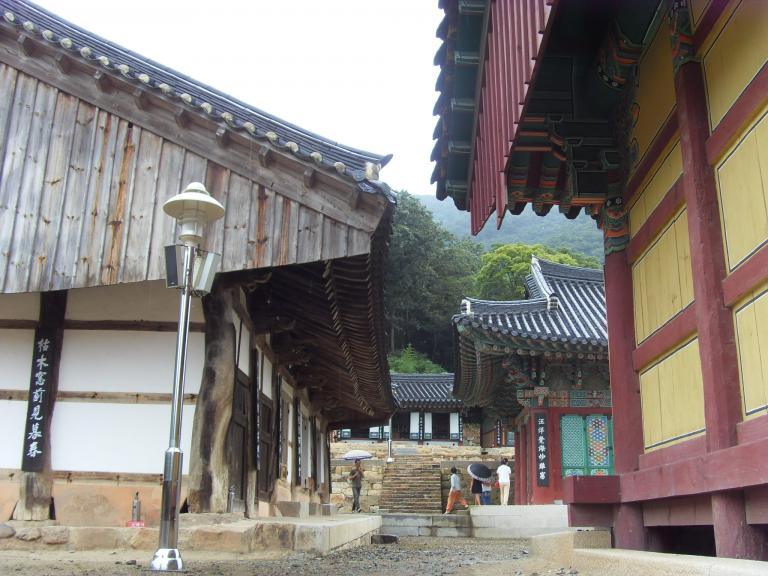 SDC10872.JPG