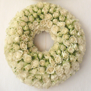 white rose 3.JPG