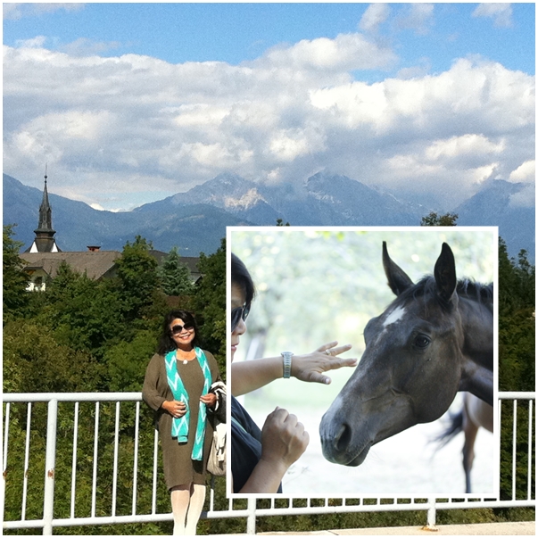 page slovenia alps.jpg