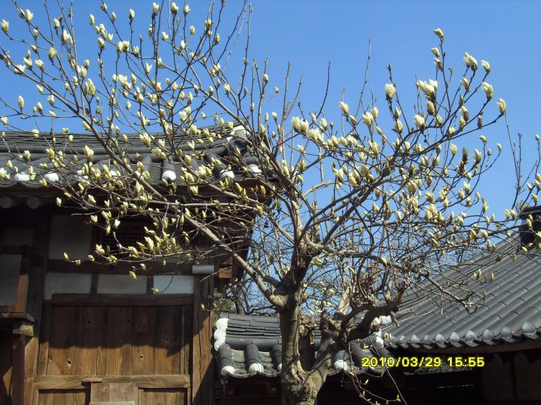 SDC10819.JPG