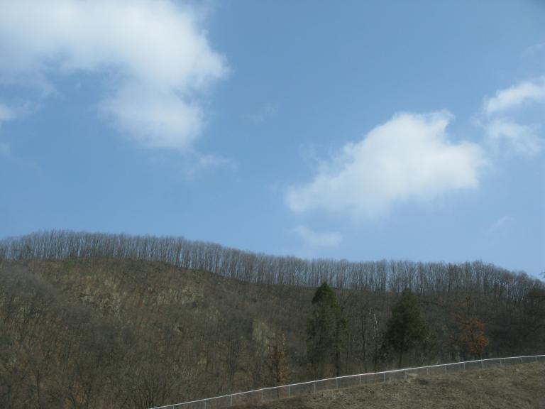 IMG_6473.JPG